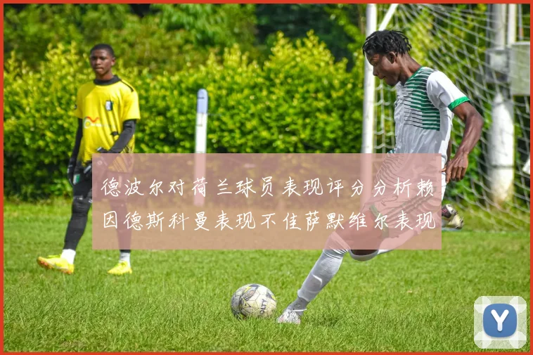 德波尔对荷兰球员表现评分分析赖因德斯科曼表现不佳萨默维尔表现出色